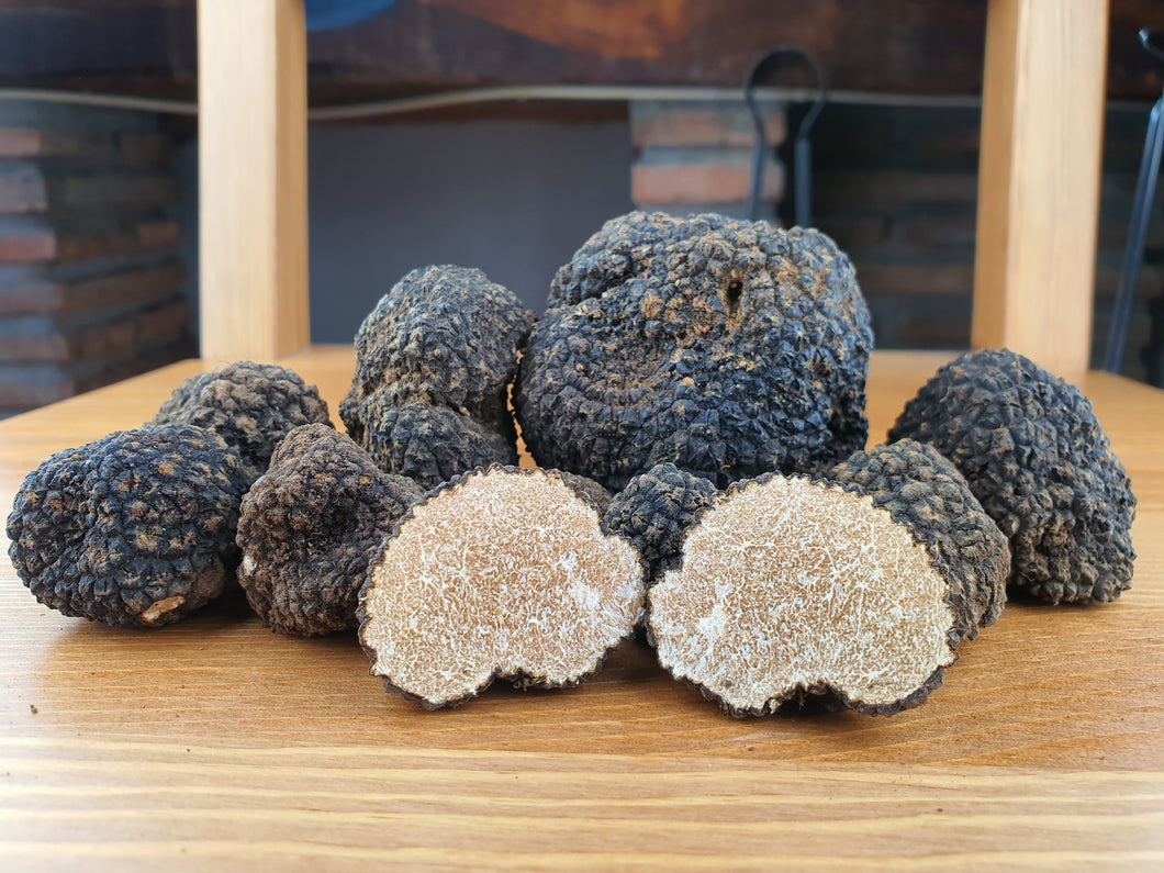 Black summer truffle (Tuber aestivum)
