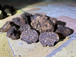White spring truffle (Tuber borchii)